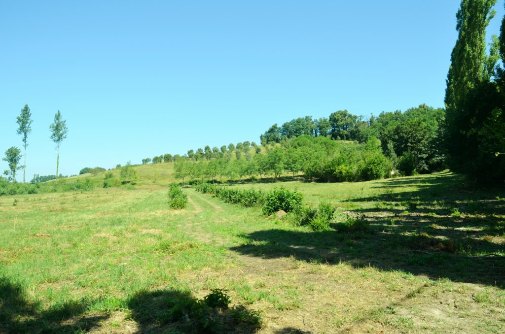 Gîte Groupe Grande Capacité Location Hébergement Tarn & Garonne 82 Occitanie